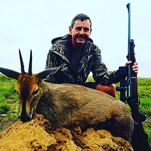 South Africa Hunting Duiker