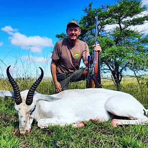 South Africa Hunt White Springbok