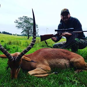 Impala Hunting in South Africa