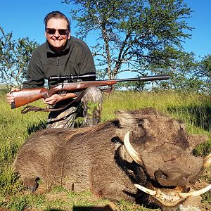 South Africa Hunting Warthog