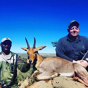 South Africa Hunt Mountain Reedbuck