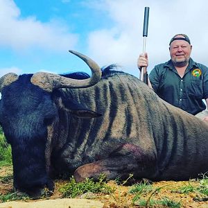 Hunt Blue Wildebeest South Africa