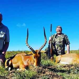 South Africa Hunt Impala