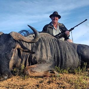 Hunt Blue Wildebeest South Africa