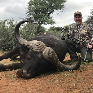 South Africa Bow Hunting Cape Buffalo