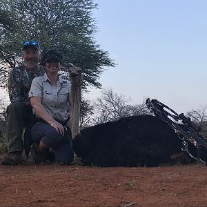 Ostrich Crossbow Hunting in South Africa