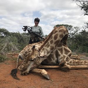 South Africa Crossbow Hunting Giraffe