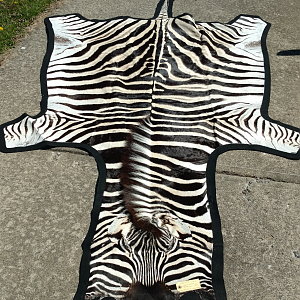 Burchell's Plain Zebra Rug