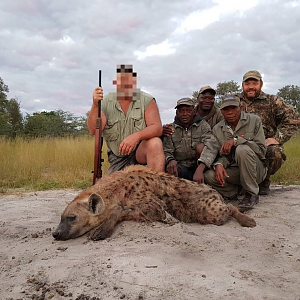 Hunting Spotted Hyena Namibia