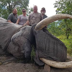 Namibia Hunt Elephant