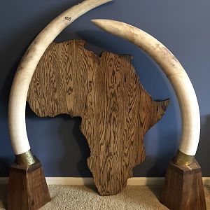 Elephant Tusks