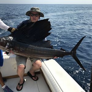 Guatemala sailfish