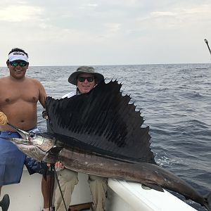 Another big sailfish