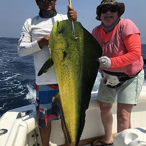 Tammy's big dorado