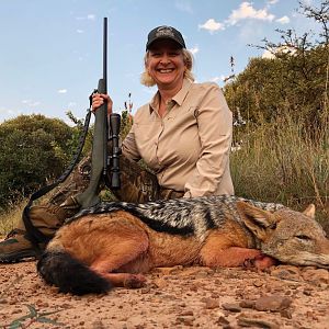 South Africa Hunt Jackal