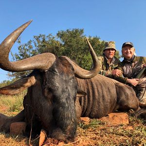 Blue Wildebeest Hunting in South Africa