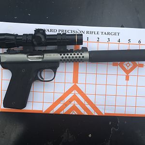 Suppressed 22/45 Hand Gun with 2x Leupold Scope