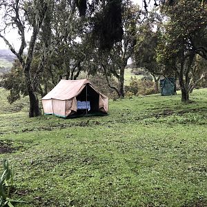 The dining tent