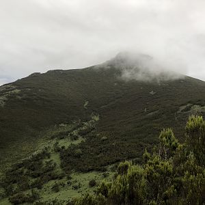 Ethiopia Hunting