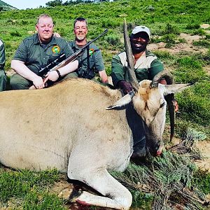 Female Eland Hunt in South Africa