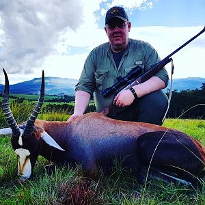 Hunting Blesbok South Africa