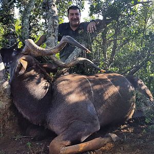 South Africa Hunt Kudu