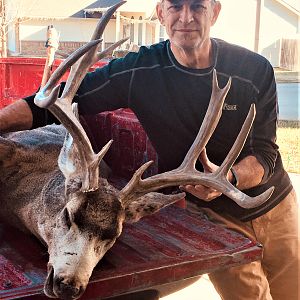 USA Hunt Mule Deer