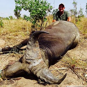 West African Savannah Buffalo Hunt in Benin