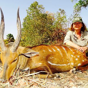 Hunting Harnessed Bushbuck Benin