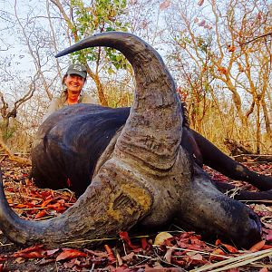 West African Savannah Buffalo Hunt in Benin