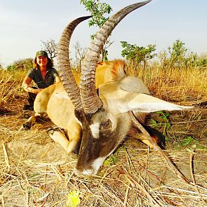 Benin Hunting Roan