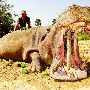 Hippo Hunting in Benin