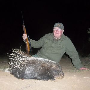 South Africa Hunt African Porcupine