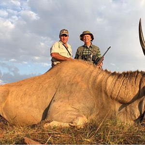 Eland Hunt South Africa