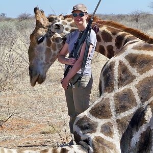 Hunting Giraffe in Namibia