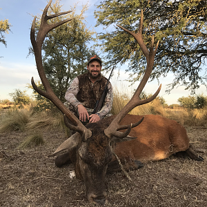 Red Stag Hunt Argentina