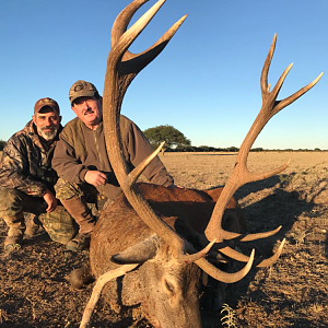 Argentina Hunting Red Stag