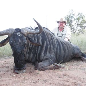 Hunting Blue Wildebeest in South Africa