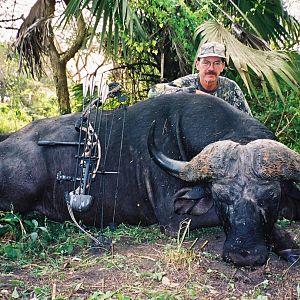 Bow Hunt Cape Buffalo