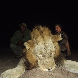 Hunting Lion