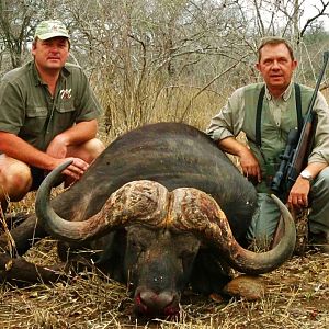 Cape Buffalo Hunt