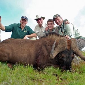 Hunt Black Wildebeest