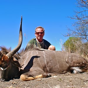 Nyala Hunting