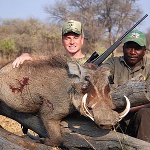 Hunting Warthog