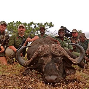 Cape Buffalo Hunting