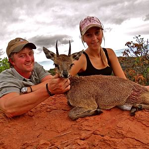 Klipspringer Hunting