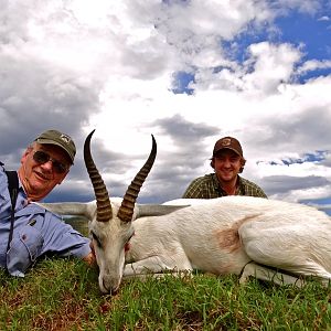 Hunt White Springbok