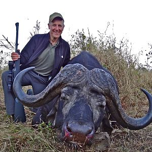 Hunt Cape Buffalo