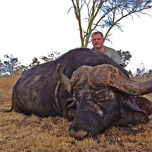 Buffalo Hunting