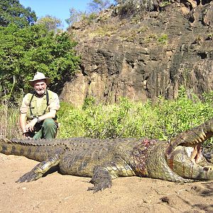 Hunting Crocodile